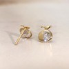 14K Yellow Gold Apple Screwback Stud Earrings