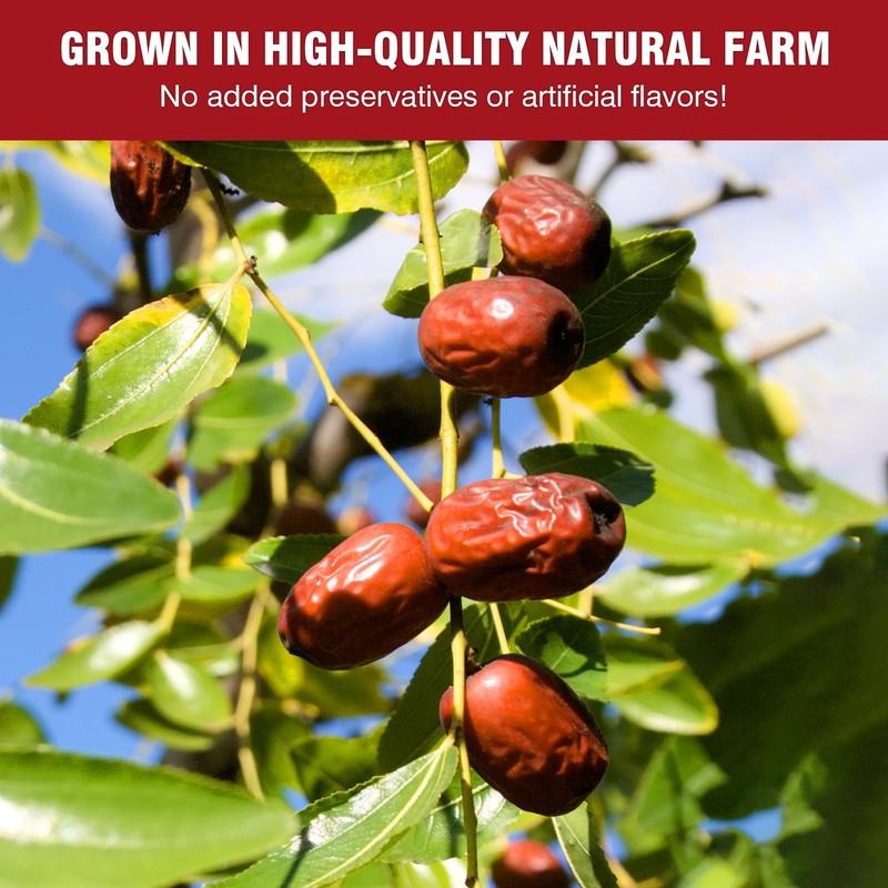 Premium Jujube Dates，Red Dates Organic1.5Lb(680g),Selected 100% Natural Dried Dates,Perfect for