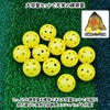 Charmoon Baseball Batting Practice Perforated Balls, 2.8 inches (72 mm),
