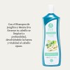 Shampoo Eva Essence Jengibre Y Menta 1l Limpieza Profunda