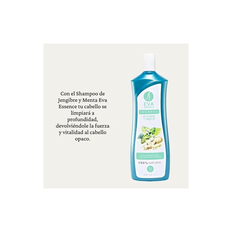 Shampoo Eva Essence Jengibre Y Menta 1l Limpieza Profunda