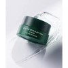 NATURE REPUBLIC 리얼 스퀴즈 알로에베라 크림 NATURE REPUBLIC Real Squeeze Aloe Vera Cream [Single Option NE0790]