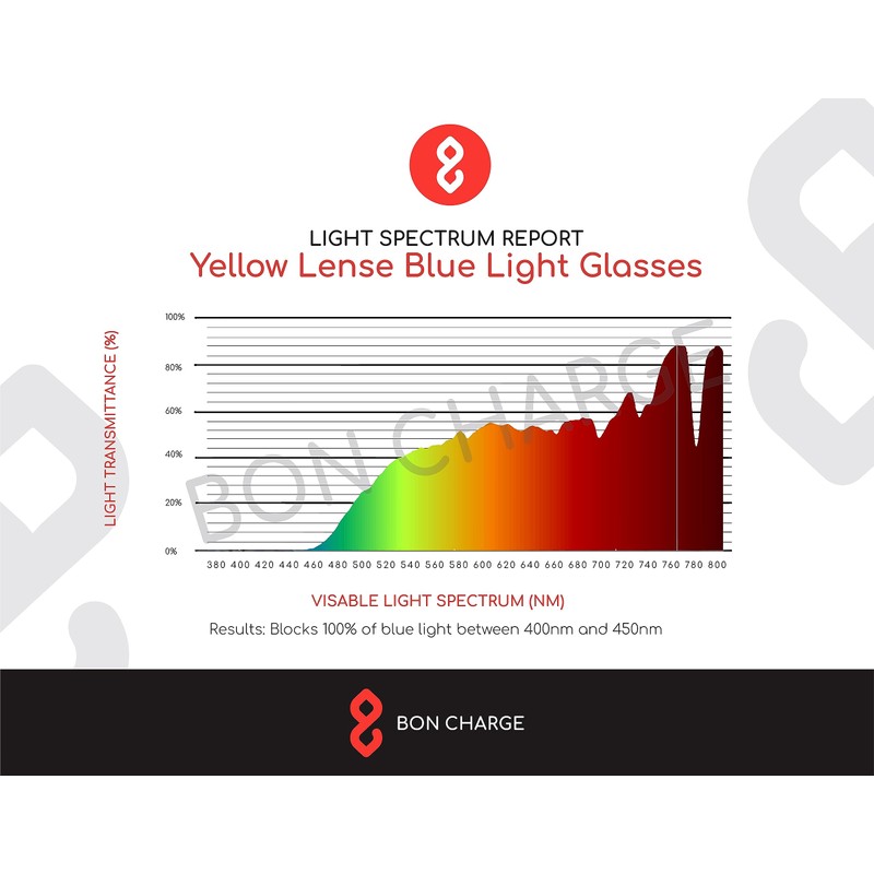 BON CHARGE Brooklyn Light Sensitivity Glasses