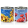 Flowers in a Tin Gift Set – Sunflower – Poppy