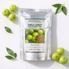 Patanjali Amla Candy 500gm / 1.10 lb