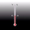 Temperature Heat Activated Color Changing Paint Thermochromic BLACK changing COLORLESS