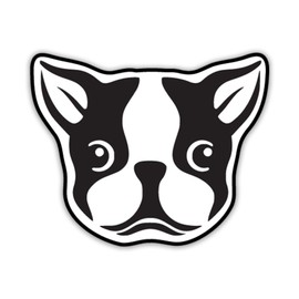 Cute Boston Terrier Dog Vinyl Decal Sticker | Cars Trucks Vans SUVs Windows Walls Cups Laptops | White | 5.5 Inch | KCD2431