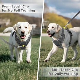 Joytale Step-in No Pull Dog Harness for Small Dogs with 2 Leash Clips, Reflective Pet Vest with Easy Control Handle, Adjustable Soft Padded Harness for Walking and Training, Grey,S