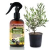 Gardenera Professional Olive Tree Spray Fertilizer Mist for Home Gardening