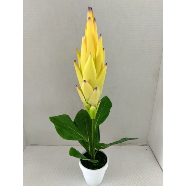 flowersbyjames Artificial Protea Plant. Hawaiian Flowers. Tropical Flowers YELLOW