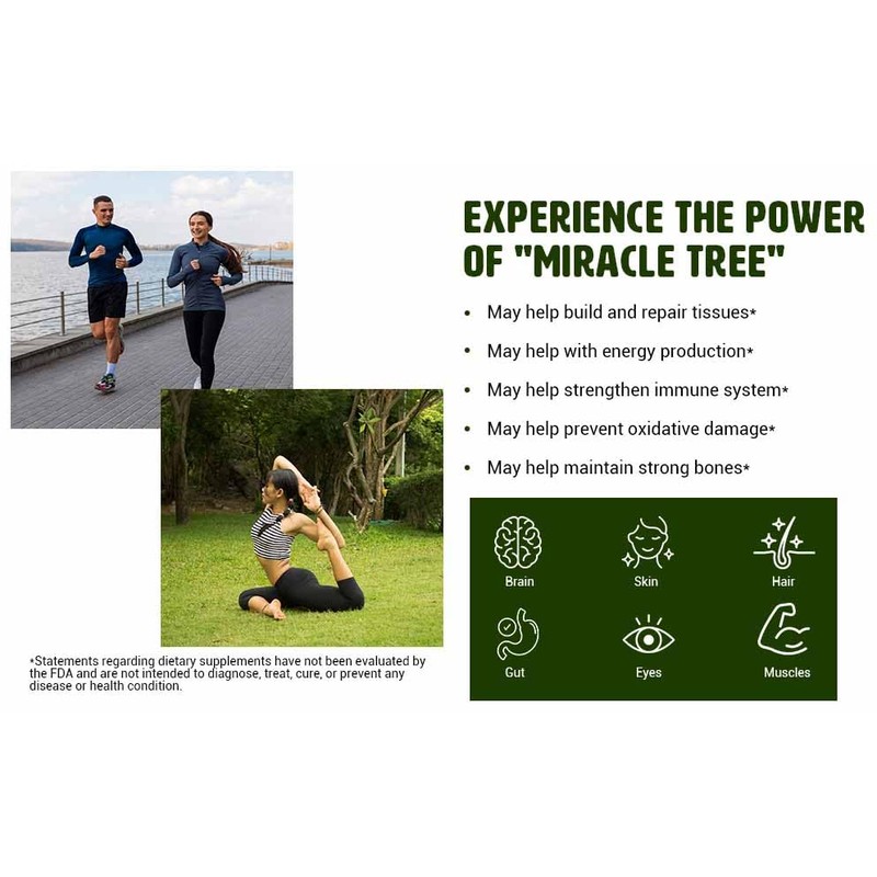 Way4Organic Moringa Oleifera Leaf and Seed Powder (80:20) Ratio 16