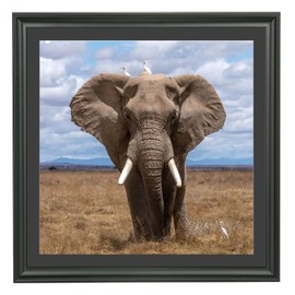 LTYHHK 22x22 Picture Frame Solid Wood with Black Mat, Displays Picture 20x20 with Mat or 22x22 Inch without Mat, Poster Frame 22x22 Photo Frames 20x20 Diamond Painting Frame Black (L23B2222B2020)