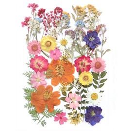 17 Types 48PCS Real Dried Pressed Flowers Leaf Plant Herbarium for DIY Resin Jewelry Making Floral Decors(Colorful)