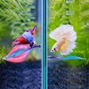 WILLBOND 2 Pieces Silicone Betta Fish Bed Leaf Hammock Betta