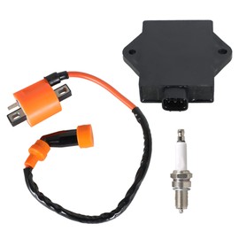 WFLNHB Ignition Coil Spark Plug CDI Box Replacement for Arctic Cat 250 2x4 4X4 1999-2005 3530-024