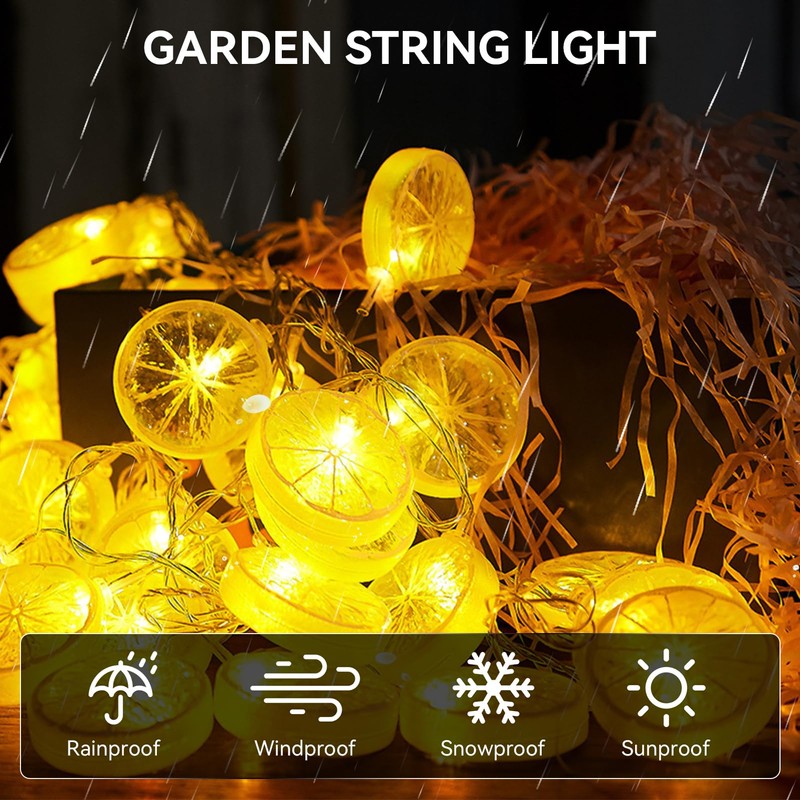 Fruit String Lights Battery Powered, Lemon Decor Fairy String Lights