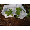 Grower's Solution Hot KAPS - King Size - Plant Covers
