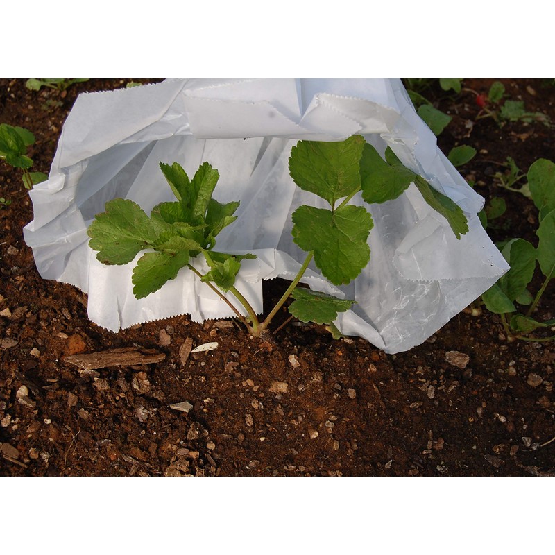 Grower's Solution Hot KAPS - King Size - Plant Covers