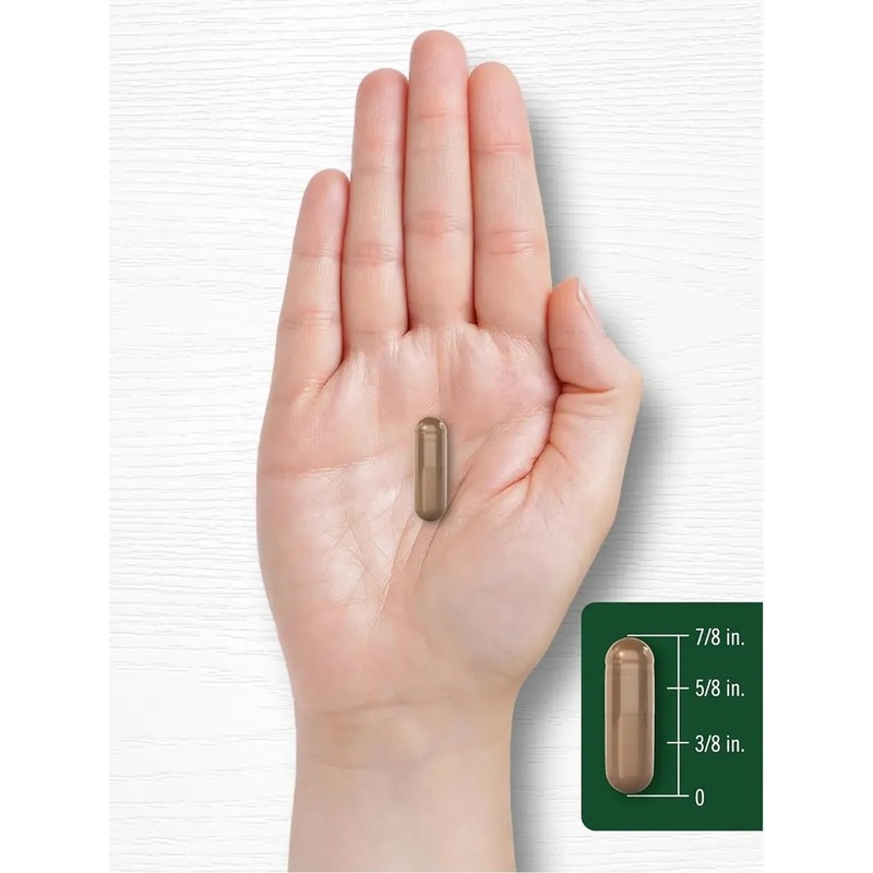 Carlyle Hongo Reishi 5000 Mg Con 300 Capsulas Hecho En
