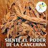 Xe natural - Té CANCERINA - Infusion Natural- Herbal -