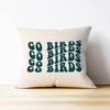 Mancheng-zi Trendy Groovy Go Birds Football Pillow Covers,Football Throw Pillow