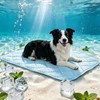 Petvolve Dog Cooling Mat 35.4" x 23.6", Double-Sided Dog Cooling