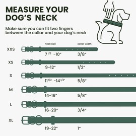 BRONZEDOG Rolled Leather Dog Collar with QR ID Tag Adjustable Soft Round Collars for Small Medium Large Dogs Puppy Cat (Emerald Green, 11" - 14 1/2" Neck Size)