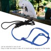 Parrot Harness Leash Adjustable Bird Flying Harness Traction Rope with