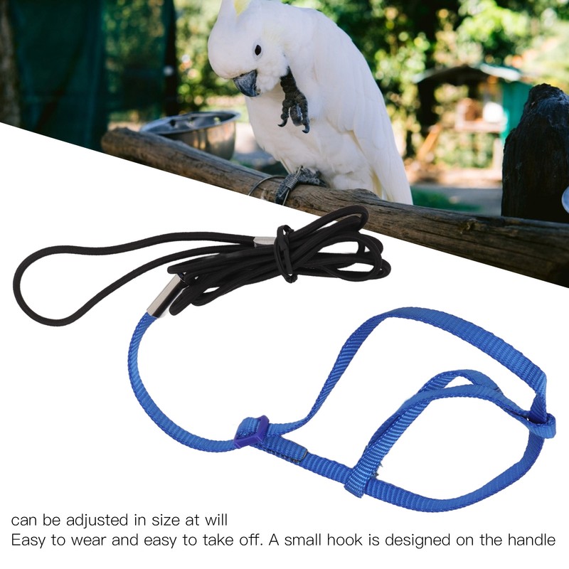 Parrot Harness Leash Adjustable Bird Flying Harness Traction Rope with