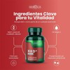 NAD Omega 3 - NAD Puro 500mg - Coenzima Premium