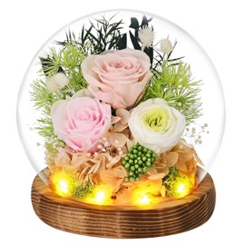 GIFTASTIC Roses Gifts for Her, Rose in Glass Dome with LED Light - Gifts for Women Mom Grandma Her Girlfriend Wife