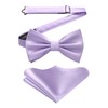 HISDERN Men's Bow Pocket Square Set Plain Pre-Tied Fly Handkerchief