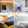 Lamomo LED Strip Lights, Tunable White Neon Rope Lights with
