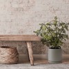 D'vine Dev 6 Inch & 8 Inch Ceramic Planter Pots