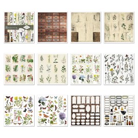 ITD Collection - Scrapbooking package 12 x 12 inches, scrapbooking paper, decorative paper, decoupage, card making, paper size - 310 x 320 mm (Herbarium, SLS-035)