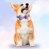AZUZA Ribbon Dog Collar Mermaid Princess, Soft and Comfortable Dog