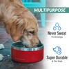 Coldest Dog Bowl - Anti Rust Metal, Non Slip, 3