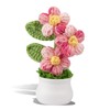 Kotkiddy Crochet Flowers Crochet Flower Pot, Gradient Flowers, Artificial Flowers