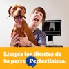 PEDIGREE - Snack para Perros Adultos Dentastix, Razas Pequeñas, Cuidado