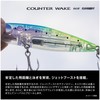 SHIMANO XM-L80X 007 T-Clear Sardine Chivas Lure, Exsense, Counterwake, Flash