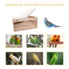 Tfwadmx Cockatiel Nesting Box Transparent Bird Nest Box Wood Bird
