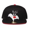Difuzed SB373603SPC Sylvester The Cat Accessory, Black, One Size