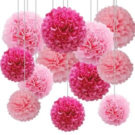 12pcs Pink Tissue Paper Pompoms,Hanging Paper Pom Poms for Engagement,Wedding,Birthday Party Deco(Hot Pink,Pink and Light Pink)