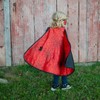 Boy's Reversible Spider & Bat Cape