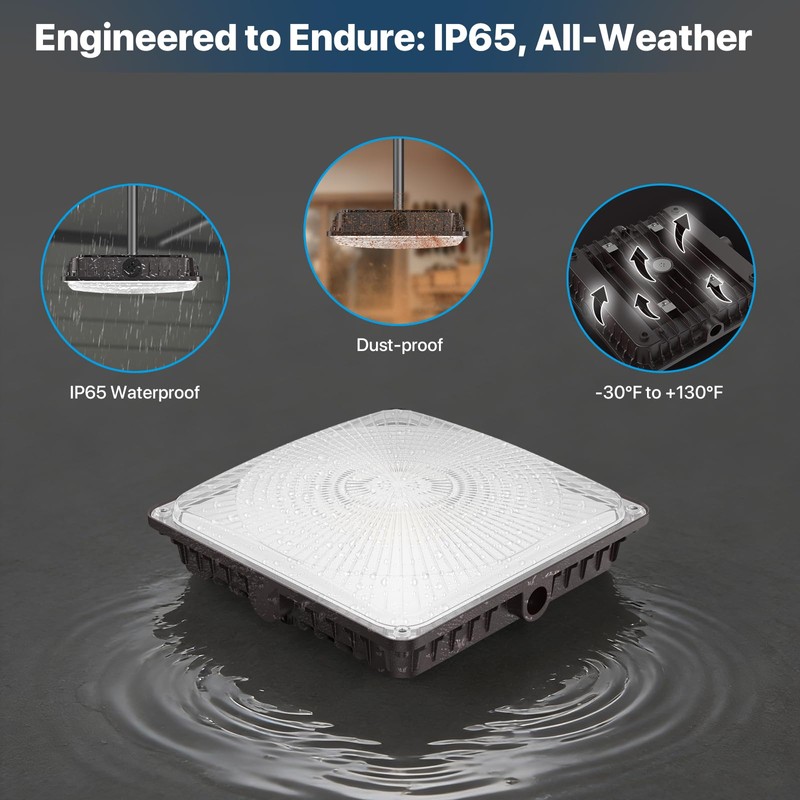 Pvilub LED Canopy Lights 40W: 5600LM Canopy LED Lights -