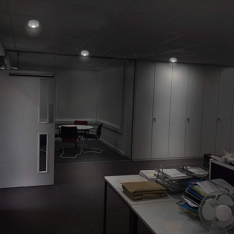 LED Round Emergency Light Ceiling Flush Mounted Maintained/Non Maintained EML05D