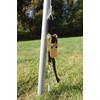 ShelterLogic RatchetTite 4-Piece Anchor Kit, 30-Inch