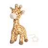Musical Box M Giraffe Kaya