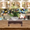 Zerodeko Multi-Use Wooden Display Stand Pedestal for Craft Statues, Plants,