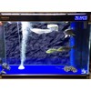 VIP. LINE 3D Effect Black Stone Texture Aquarium Background Poster